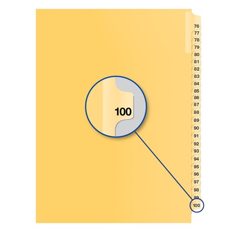 Image Index juridique individuel numérique