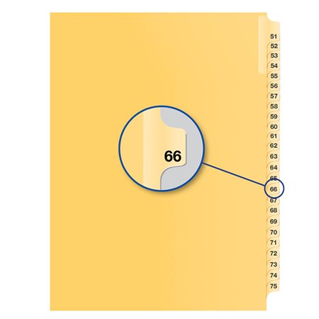 Image Index juridique individuel numérique