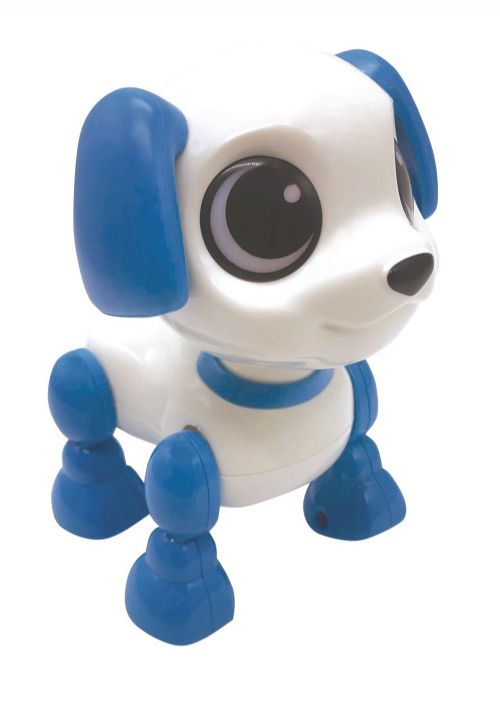 JK247ROB02DOG