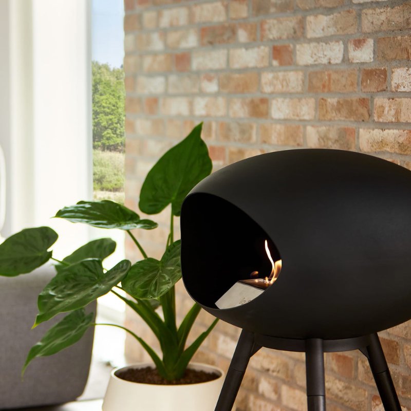 NL801107-4.jpg