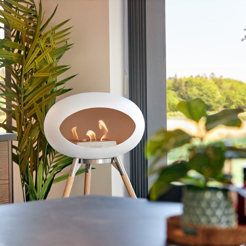 NL801134-5.jpg