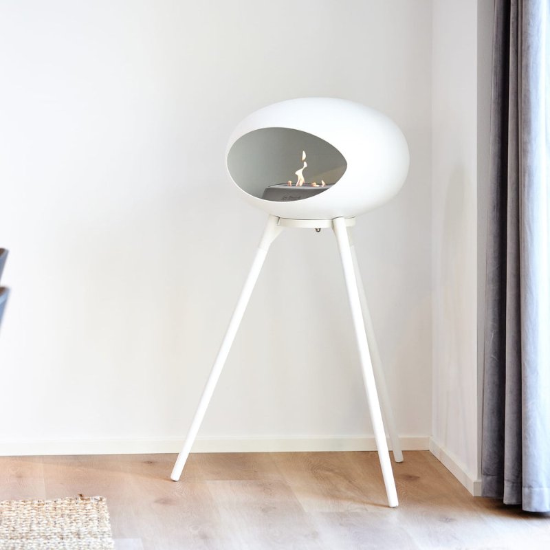 NL801174-3.jpg