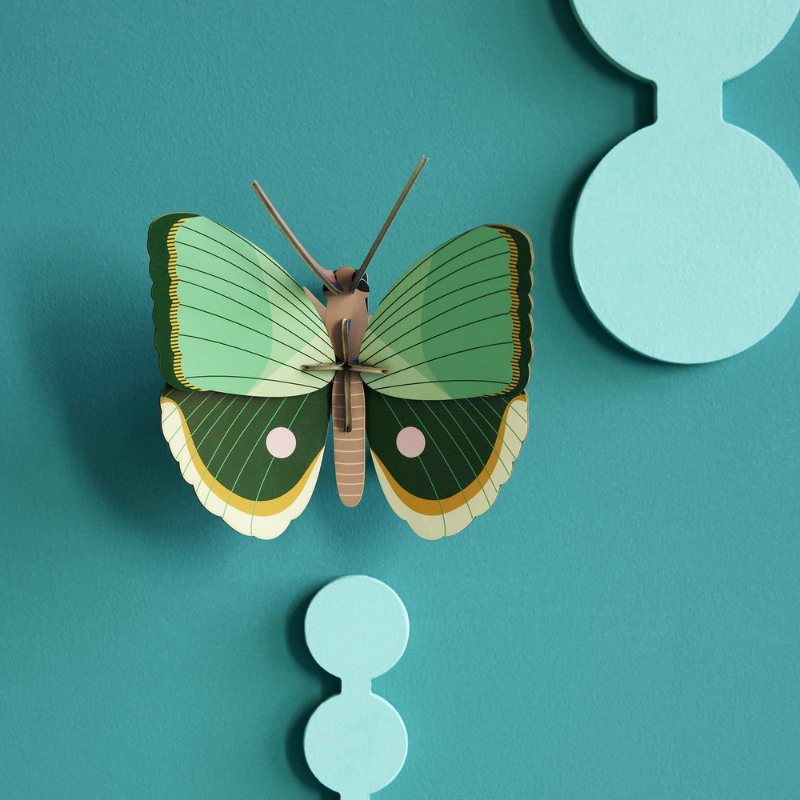 NLIMA85-2.jpg