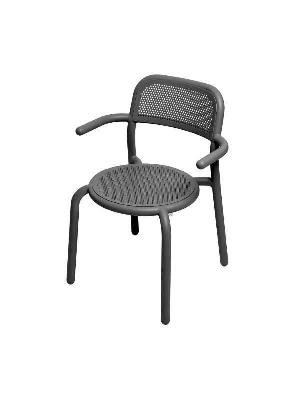 NLTARM-ANT.jpg