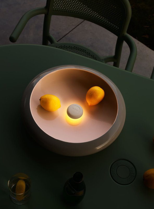 NLTTVL-ANT-6.jpg