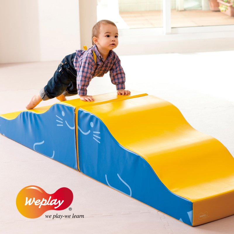 PWM2310.jpg