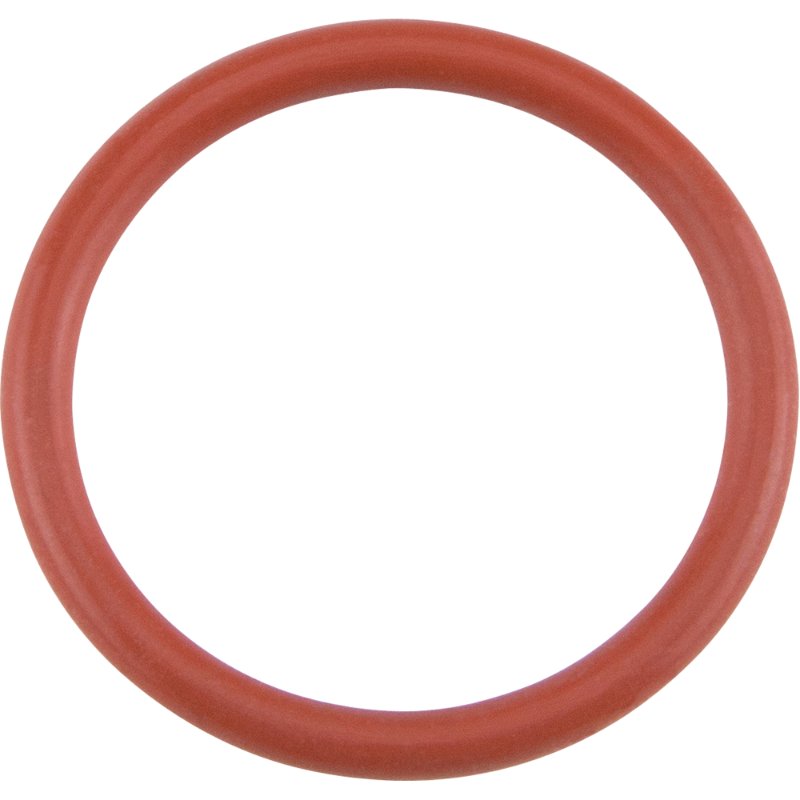 SCN379-1232.jpg