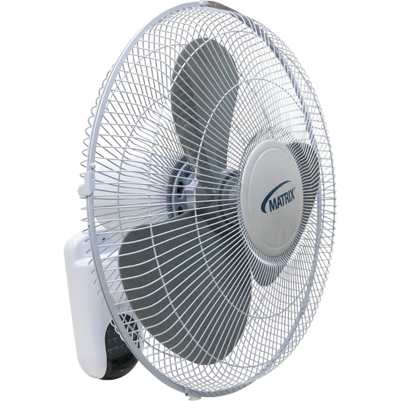 SCNEA526.jpg