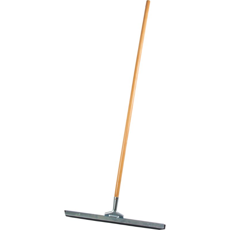 SCNJQ851.jpg