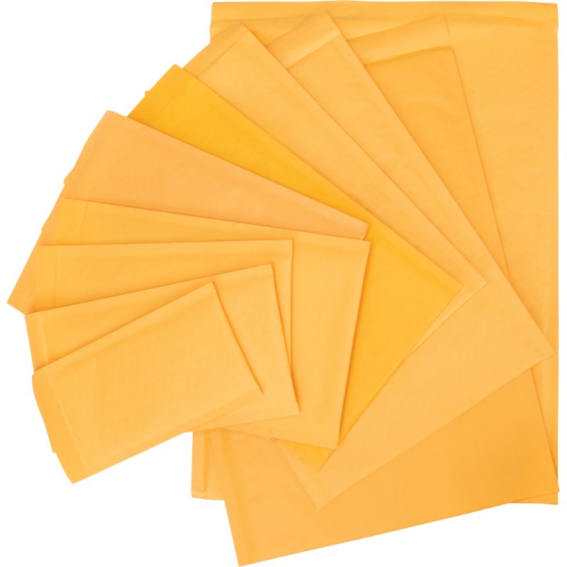 SCNPG240-3.jpg