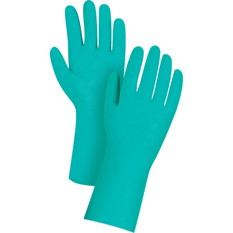 SCNSEF225.jpg