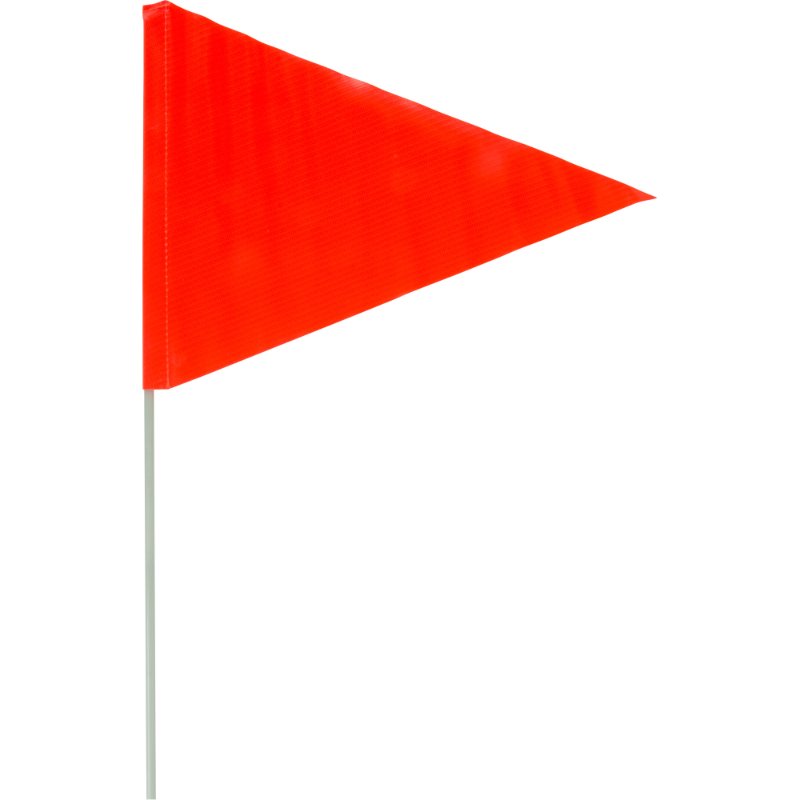 SCNSGG309.jpg