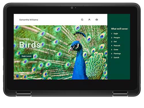 DELL CHROMEBOOK 3120 N100 8GB 1DIMM 64GB EMMC 11.6INCHHD T 1366X768 3C 65W