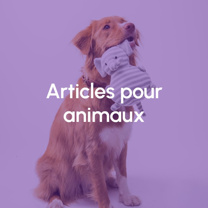 Image Articles pour animaux