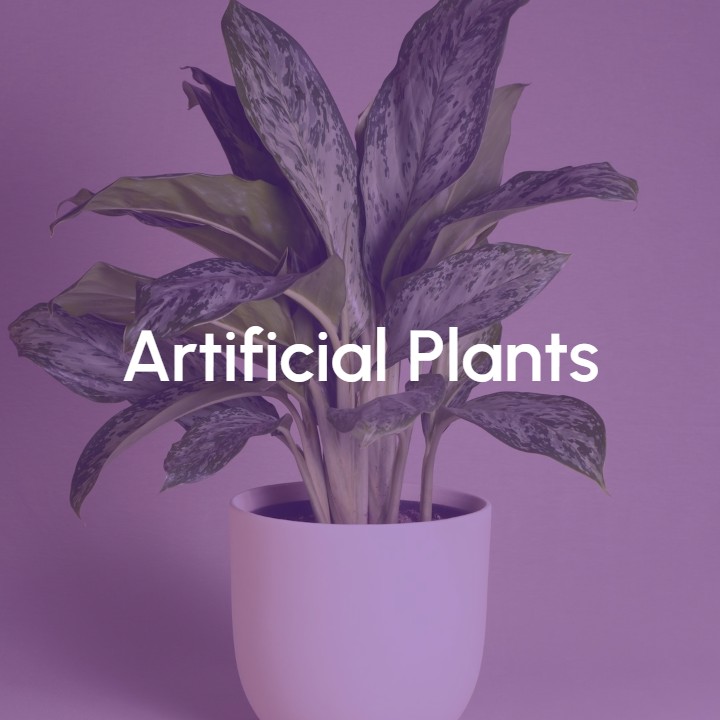 Image Artificial plants