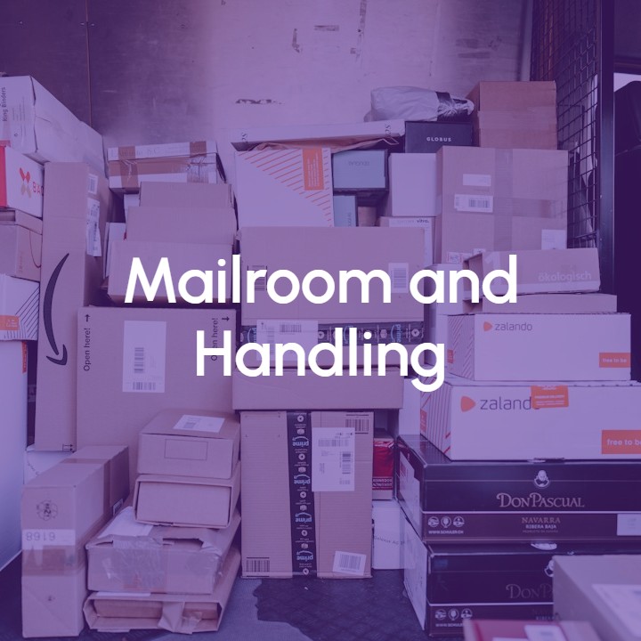 Image Mailroom and Handling