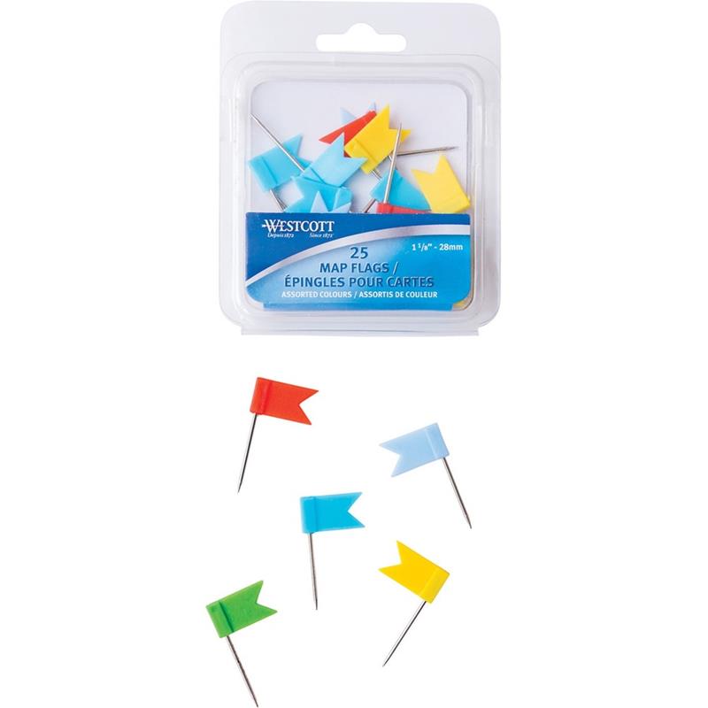 Image Flag Pins