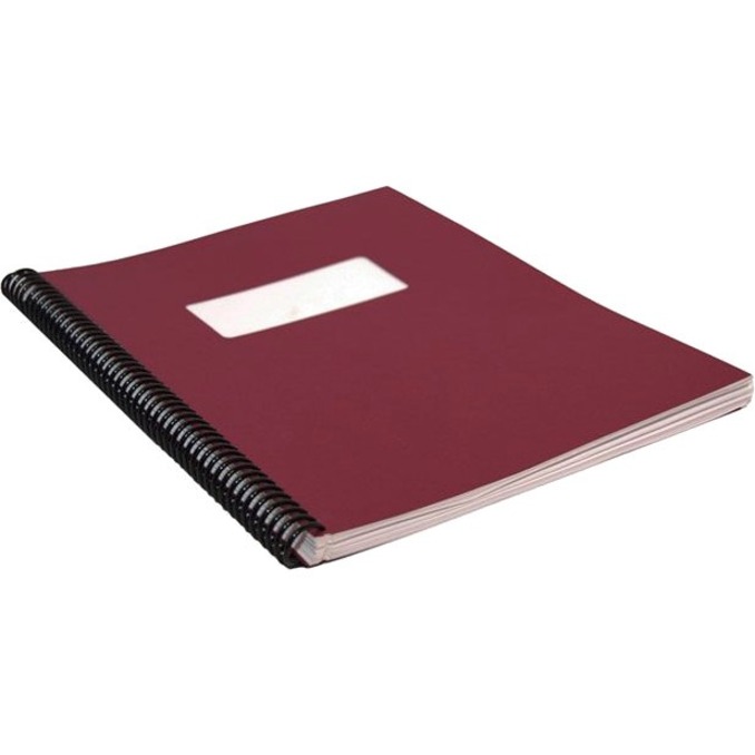 Image Reliure spirale en plastique