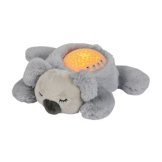 Nattou – Koala projector